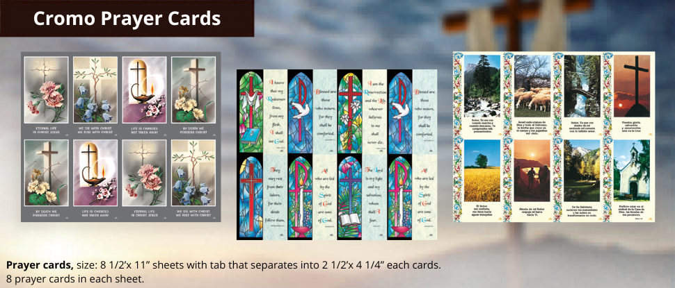 wows1_2 Slide